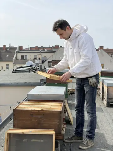 Hryhoriy, AI character: Neukölln rooftop beside two small beehives, low apartment roofs and laundry lines in the background