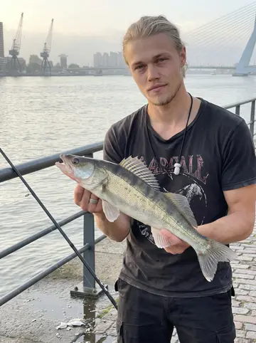 Niels, AI character: Katendrecht quay on the Maas at sunrise after his shift, wet stone edge, a rod leaning on the railing,…