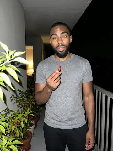 Nate, AI character: his apartment balcony at night, pots of hot pepper plants on the floor and along the rail, a string of…