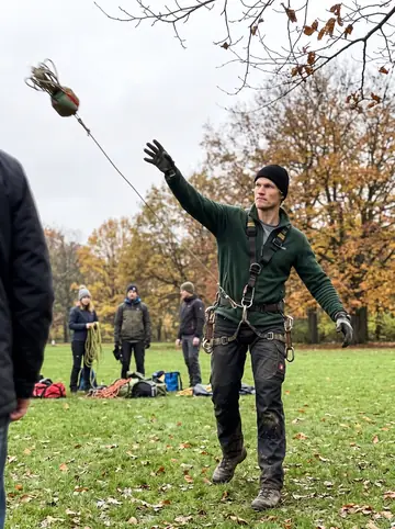 Bastian, AI character: a training field in Hamburg Stadtpark before a tree climbing championship, tall beech trees, a few people…