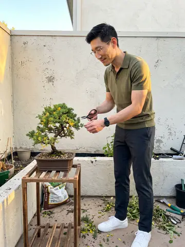 Johnny, AI character: the small shared courtyard behind his apartment, crouched beside a six-year-old bonsai juniper on a low…
