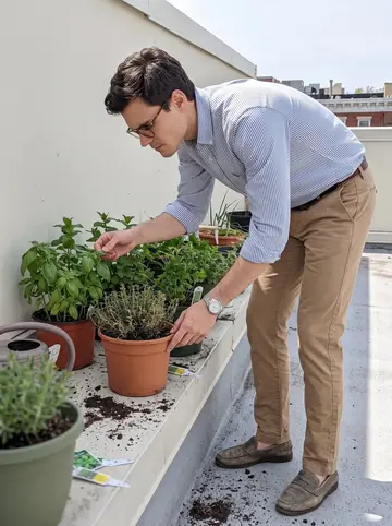Sotiris, AI character: his apartment rooftop herb garden in Baltimore, phone propped on a planter beside basil, mint, parsley,…
